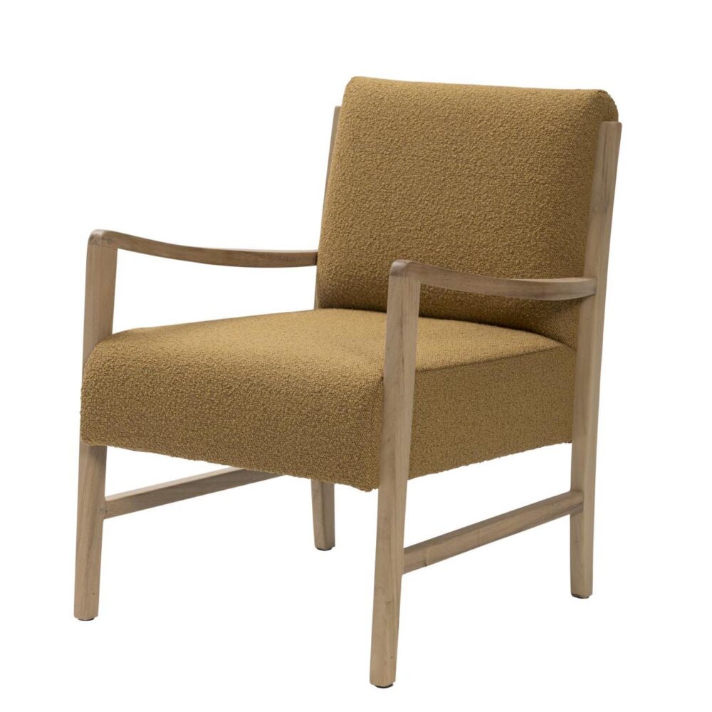 Corla Armchair - More Colours